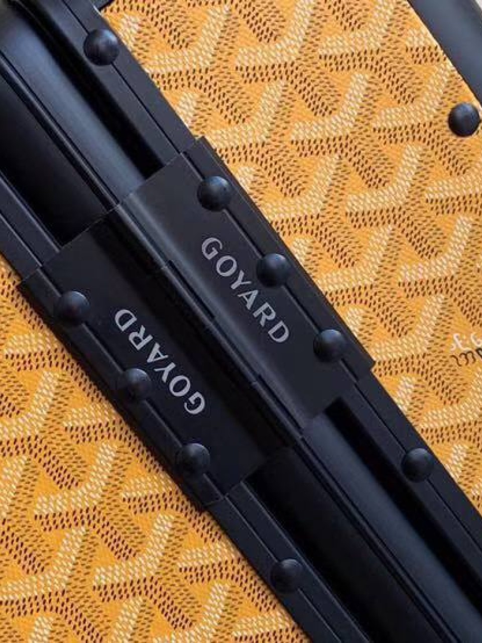 ჩემოდანი